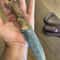 Damascus Everyday Carry Knife With Gloss Chestnut Handle Leather Sheath 4