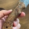 Damascus Everyday Carry Knife With Gloss Chestnut Handle Leather Sheath 6