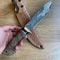 Handmade Damascus Bowie Knife Walnut Ebony Wood Hunting Blade 2