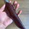 Handmade Puukko Knife N690 Steel Outdoor Knife With Padouk Cow Horn Handle Wedding GIFT BF GIFT 1