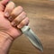 Handmade 1075 Steel Hunting Knife White Corian Handle Camping Survival Blade 3