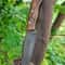 Premium Full Tang Outdoor Knife With 1075 Steel Walnut Wood Handle 4