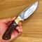 Premium Hunting Knife With Wolf Engraved Blade Ebony Handle Brass Bolsters 9