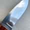 Premium Full Tang Woodworking Knife With N690 Steel Silverberry Handle Boy Friend GIFT 6