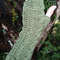 Forest Green Knitted Fingerless Texting Gloves Mittens Armwarmer Gift 6