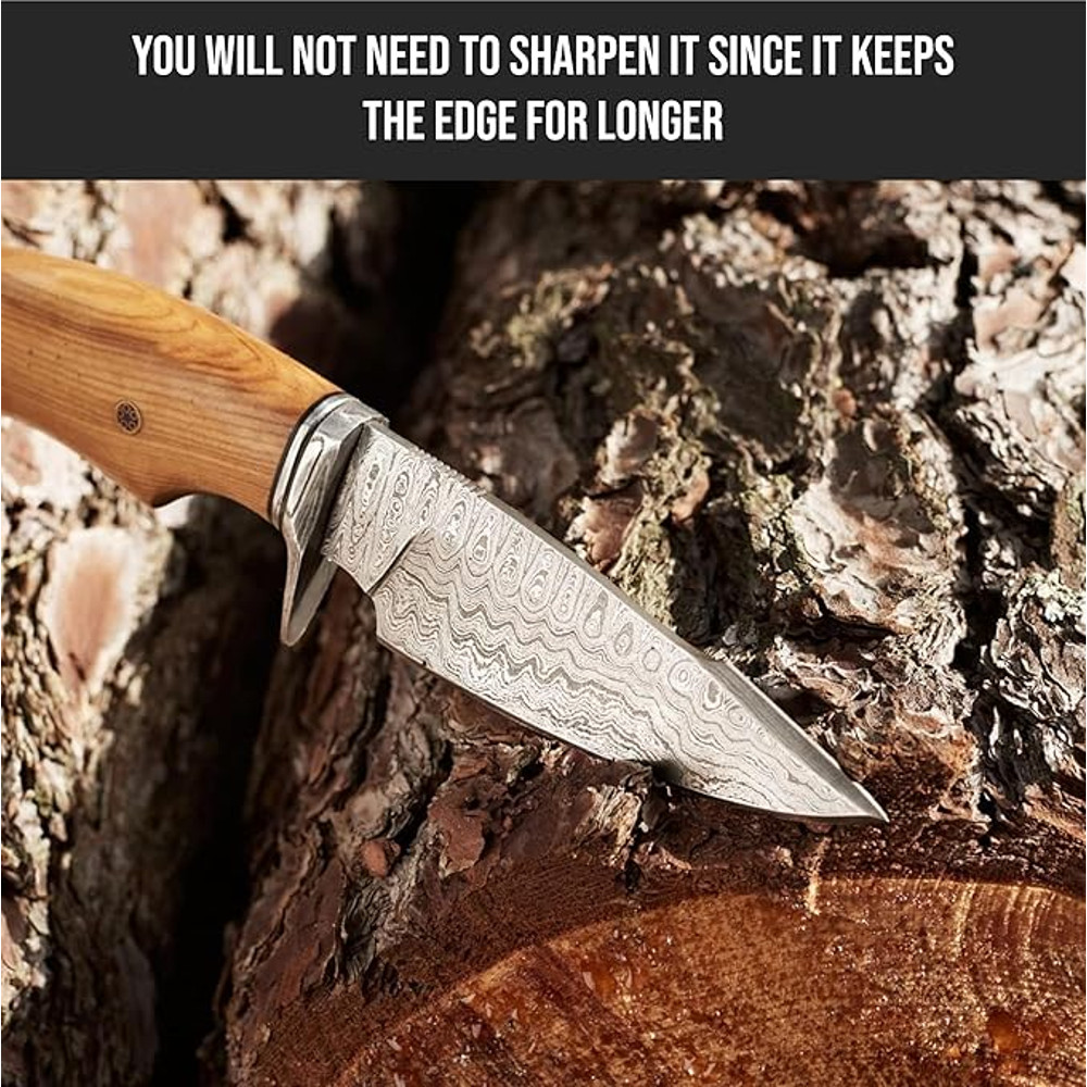 Bushcraft Fixed Blade Hunting Knife With Sheath And Olive Wood Handle  10 Inches EDC Skinning Knife 2