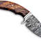 Handmade 8 Damascus Hunting Knife  Bushcraft Fixed Blade Hunting Knife With Sheath And Rose Wood Ha 3