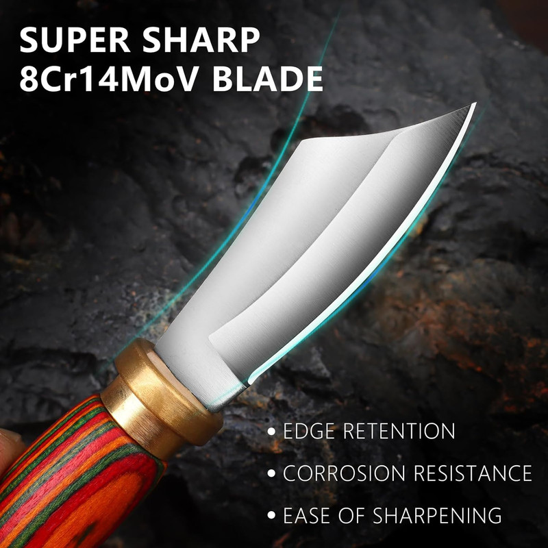 Mini Keychain Knife 335 Inch Stainless Steel Fixed Blade Knife With Leather Sheath Wood Handle EDC  3