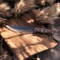 Premium Handmade Hunting Knife With Walnut HandleReal Bowie Knife With SheathPerfect For Camping Tr 0