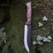 Premium Handmade Hunting Knife With Walnut HandleReal Bowie Knife With SheathPerfect For Camping Tr 5