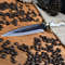 Dagger Knife Carbon Steel Blade Hunting Knife 3