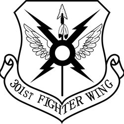 301st fighter wing
