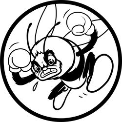 307th fighter squadron