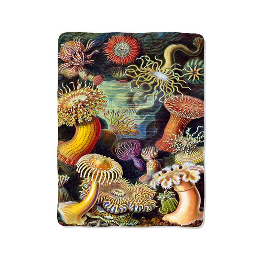 Sea Anemone Painting Custom Velveteen Plush Blanket  Personalized Comfort  Style 0