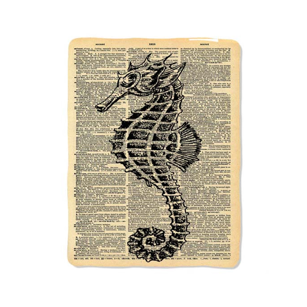 Sea Horse Dictionary Custom Velveteen Plush Blanket  Personalized Comfort  Style 0