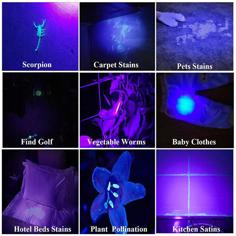 UV Flashlight Blacklight Zoomable USB Rechargeable Ultraviolet Light For Pet Urine Detection Resin