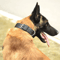 Wide Tactical Heavy Duty Nylon Large Dog Collar Military Style With Metal Buckle For Big Dogs Neopr 1