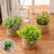 FLOWER Green Artificial Plants  Small Potted Eucalyptus Grass Mound Material Woven Home Decoration  1