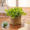 FLOWER Green Artificial Plants  Small Potted Eucalyptus Grass Mound Material Woven Home Decoration  2