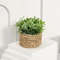 FLOWER Green Artificial Plants  Small Potted Eucalyptus Grass Mound Material Woven Home Decoration  5