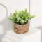 FLOWER Green Artificial Plants  Small Potted Eucalyptus Grass Mound Material Woven Home Decoration  6
