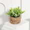 FLOWER Green Artificial Plants Small Potted Eucalyptus Grass Mound Material Woven Home Decoration 6