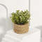 FLOWER Green Artificial Plants  Small Potted Eucalyptus Grass Mound Material Woven Home Decoration  7