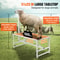 Goat Sheep Stand Livestock Stand Adjustable Height Metal Livestock Milking And Shearing Stand For