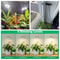 Plant Grow Light LED Growing Lamp Full Spectrum Height Adjustable Auto Timer Indoor Plant Light Sol 5