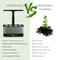 Hydroponics Growing System Kit 8-Pod WiFi Indoor Garden with LED Grow Light & Remote, Soilless Herb Planter Box