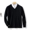 Mens Soft Cashmere Sweater, Autumn Winter Pullover Slim Fit V-Neck Knitted Woolen Knitwear for Business Casual Wear