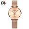 Top Brand Hannah Martin Women Watch, Original Quartz Movement, Fashion Stainless Steel Mesh Belt Dress Watch