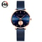 Top Brand Hannah Martin Women Watch, Original Quartz Movement, Fashion Stainless Steel Mesh Belt Dress Watch