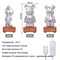 3D Bear Night Light LED Fireworks Lamps, USB Dimmable Projector, Colorful Desktop Atmosphere Table Light Gift
