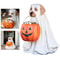 Halloween Dog Ornaments Pumpkin Snack Bowl Stand With Candy Bowl Halloween Trick Or Treat Indoor Ou 2