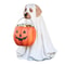 Halloween Dog Ornaments Pumpkin Snack Bowl Stand With Candy Bowl Halloween Trick Or Treat Indoor Ou 3