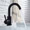 Premium Matt Black & Brushed Nickel Bathroom Faucet Sleek Mixer Tap for Sinks