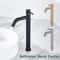 LUXROB Stainless Steel Quick Open Kitchen Sink Faucet Single Cold Basin Tap 1