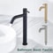 LUXROB Stainless Steel Quick Open Kitchen Sink Faucet Single Cold Basin Tap 1