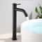 LUXROB Stainless Steel Quick Open Kitchen Sink Faucet Single Cold Basin Tap 0