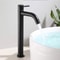 LUXROB Stainless Steel Quick Open Kitchen Sink Faucet Single Cold Basin Tap 0