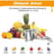 Premium Hand Press Juicer Heavy Duty Manual Juice Squeezer for Pomegranate, Citrus & Sugar Cane