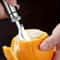 Stainless Steel Orange Peeler and Citrus Cutter with Handle Easy Lemon & Fruit Peeling Tool