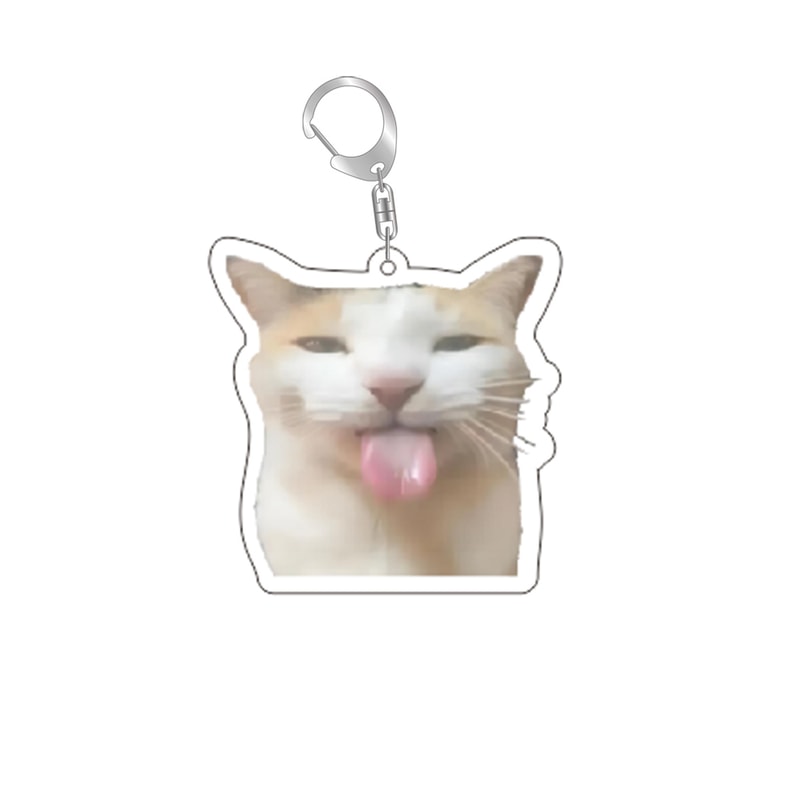 Funny Cat Meme Keychain Cute Bag Charm Gift for Cat Lovers & Best Friends