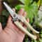 Professional Pruning Shears For Garden Fruit Trees Precision Plant Trimming 1
