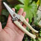 Professional Pruning Shears For Garden Fruit Trees Precision Plant Trimming 1