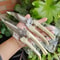 Professional Pruning Shears For Garden Fruit Trees Precision Plant Trimming 3