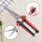 PrecisionCut Stainless Steel Pruning Shears for Garden & Fruit Tree Trimming