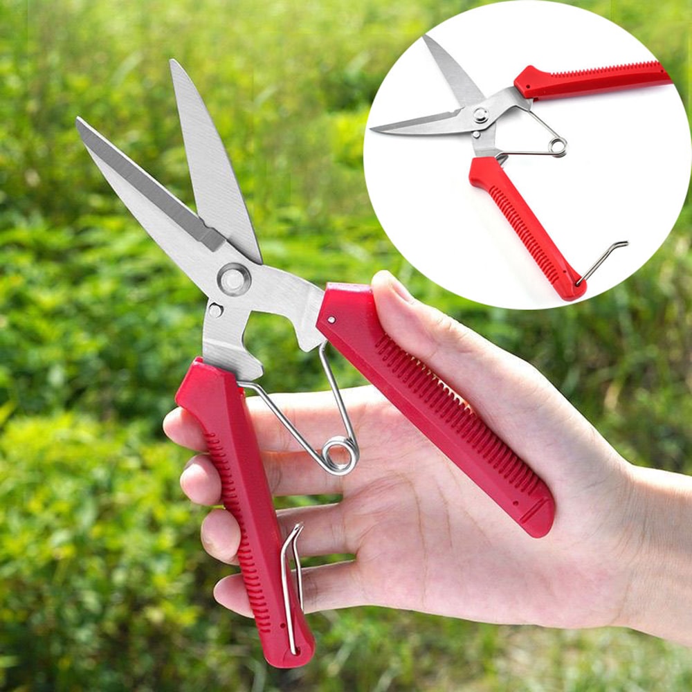 Precision Stainless Steel Pruning Shears for Bonsai, Garden & Household Trimming