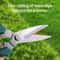 Precision Stainless Steel Pruning Shears for Bonsai, Garden & Household Trimming